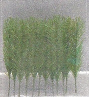 Dollhouse Miniature S/12 Pine Needles